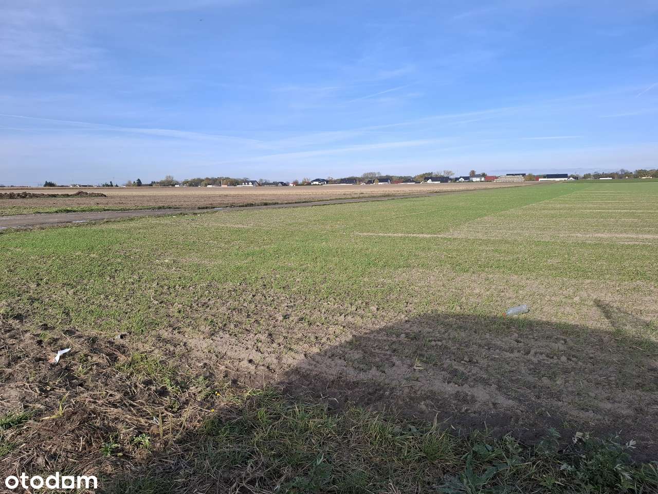 Działka rolna, prąd, woda, Stare Oborzyska, bezpośrednio przy drodze - Pełny obrazek: 4/5