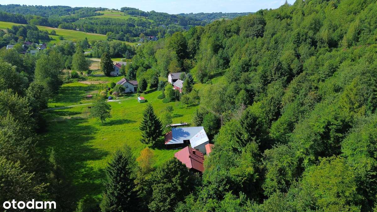 Magiczne siedlisko z lasem, rzeczką i historią-2