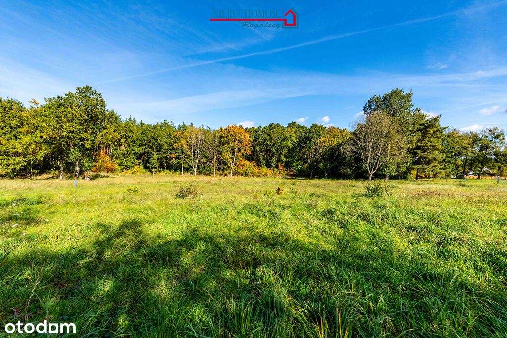 Nowy dom w sąsiedztwie lasu (gm. Stepnica) - Pełny obrazek: 4/12