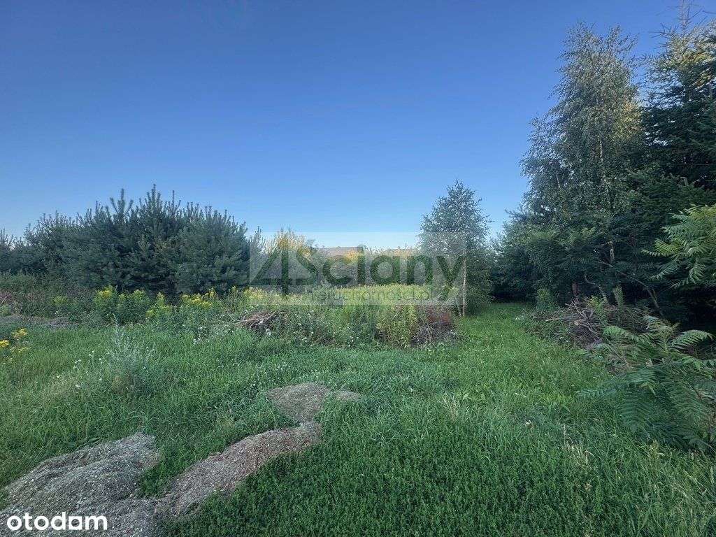 Atrakcyjna działka w Wieliszewie - Pełny obrazek: 5/8