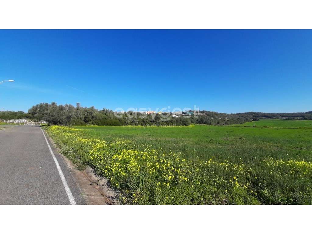 Terreno com 5600 metros quadrados em limites de Morelena. - Grande imagem: 4/13