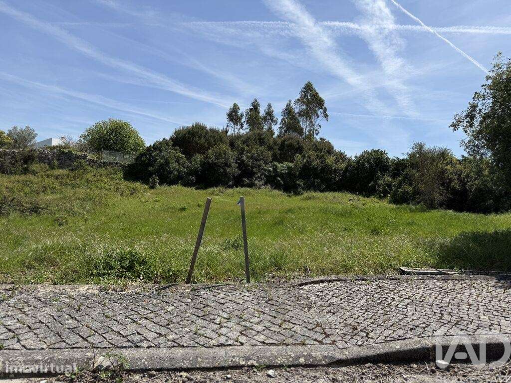 Terreno para construção T3 em Reguengo Grande de 290,00 m2 - Grande imagem: 5/20