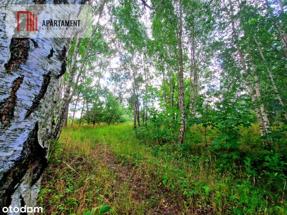 Tylko u Nas! Duża działka usługowo-mieszkalna!-5