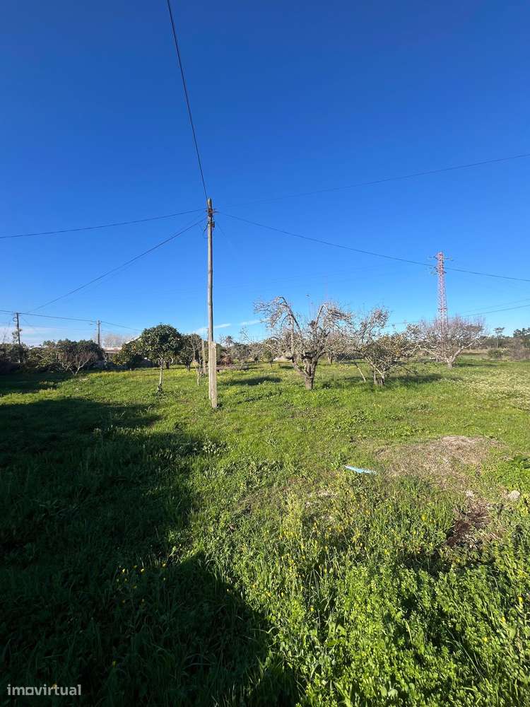 Excelente oportunidade para investimento, habitação própria ou casa de - Grande imagem: 5/8