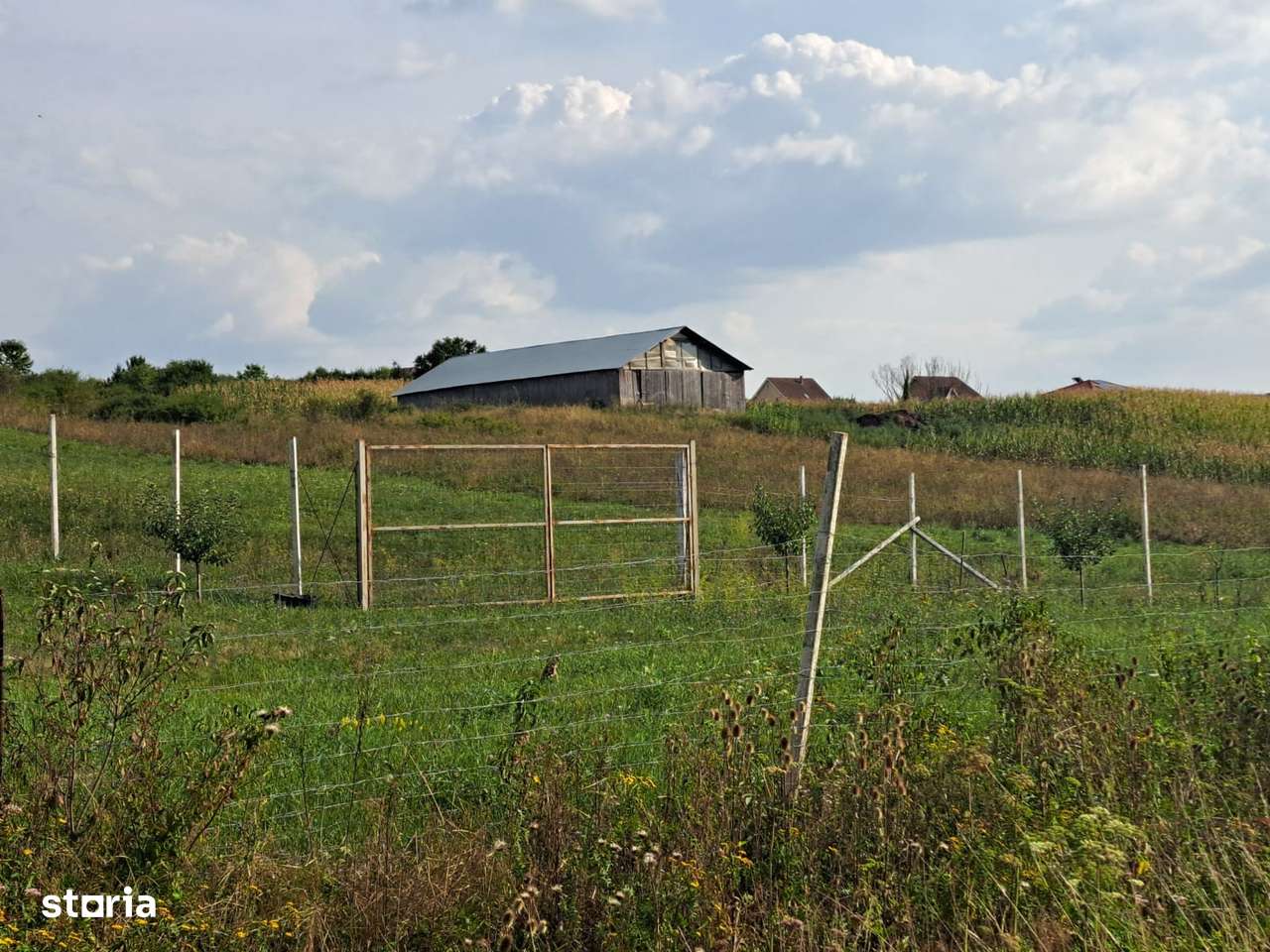 Teren extravilan in Hidiselu de Jos, se poate modifica in intravilan - Imagine principală: 3/9