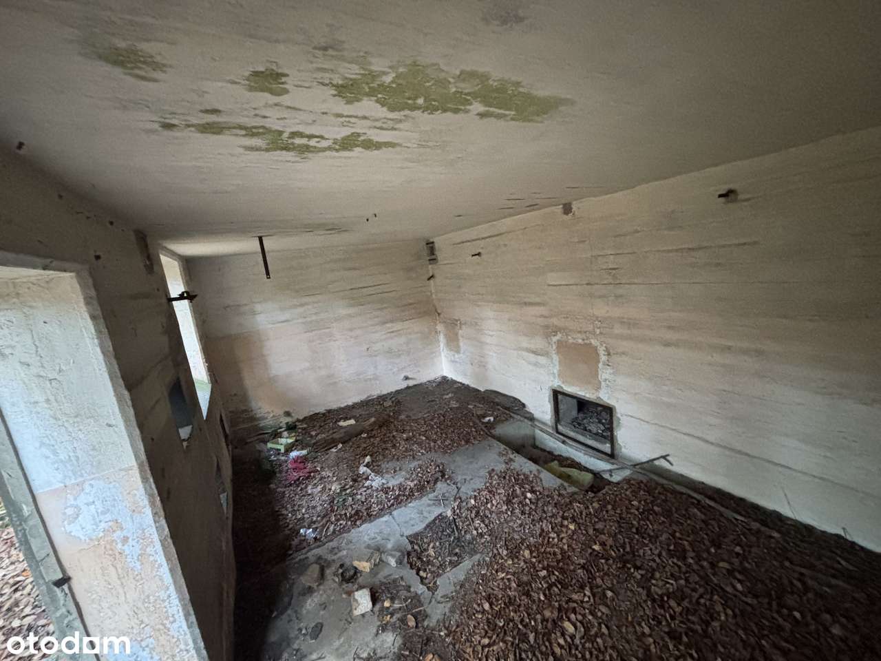 Działka inwestycyjna 1,666 ha - Brożek, Lubuskie-13