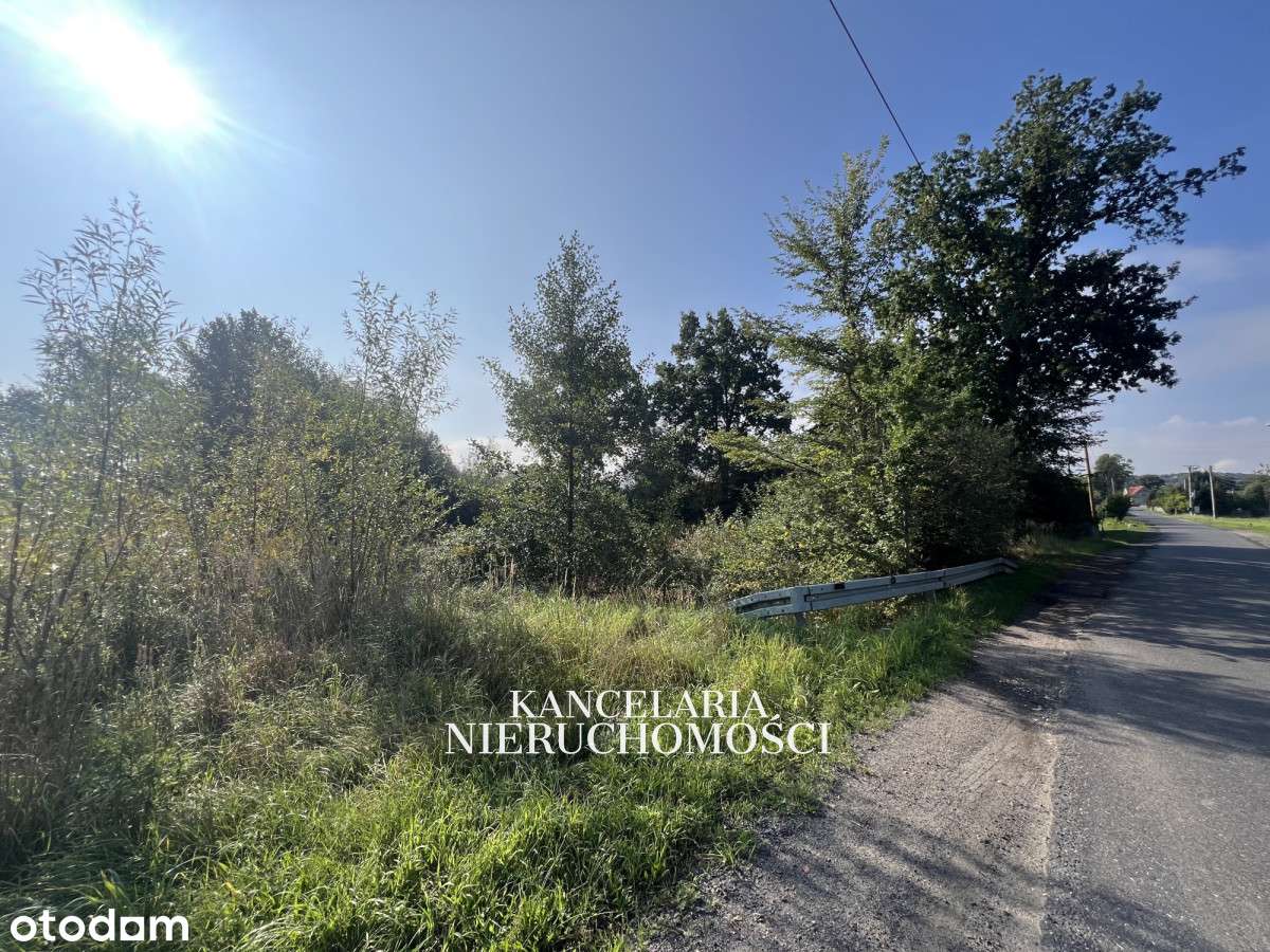 Atrakcyjna działka w Mirocinie Górnym 2614m2 - Pełny obrazek: 4/4