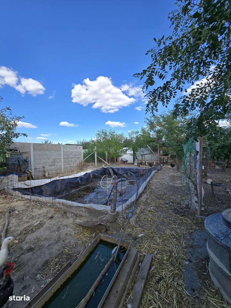 Parta-casa si teren 719-3 camere-8