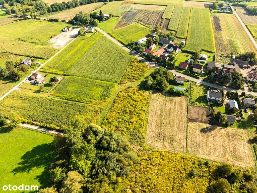 Płaska, prostokątna działka 33 km do Krakowa-9