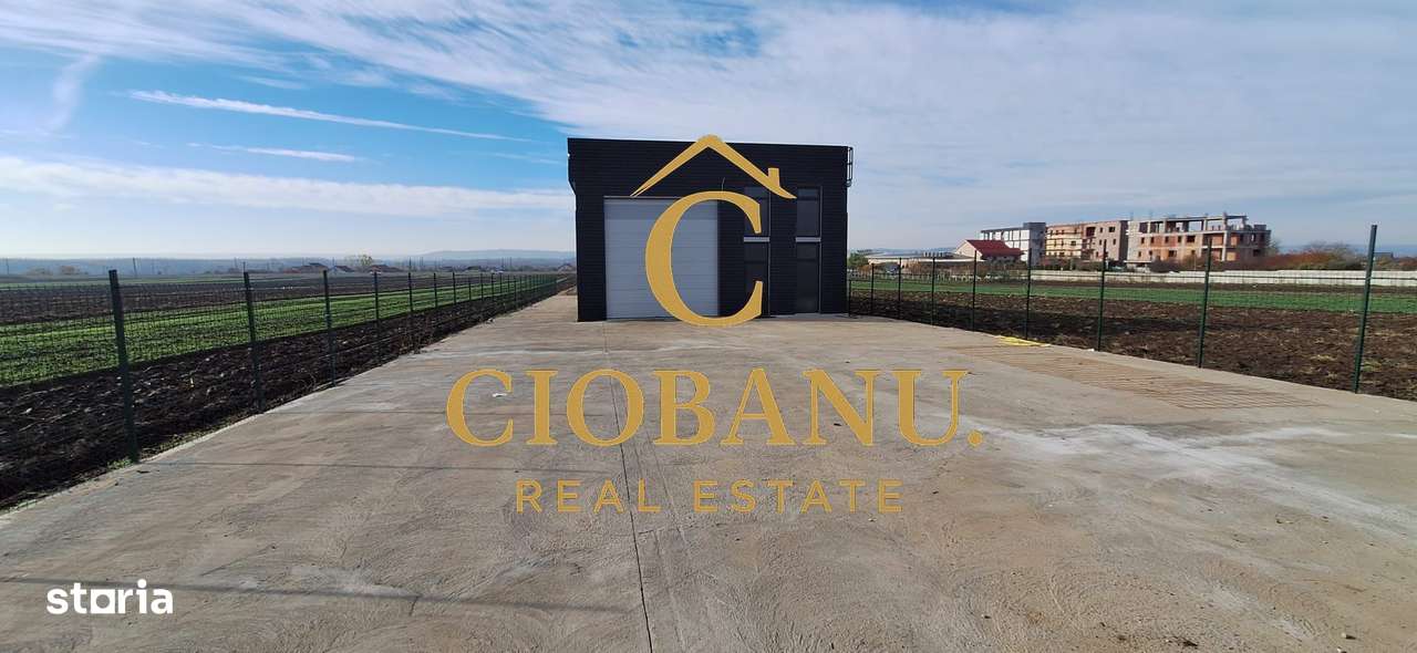 Hala de vanzare in Racari de Jos-16