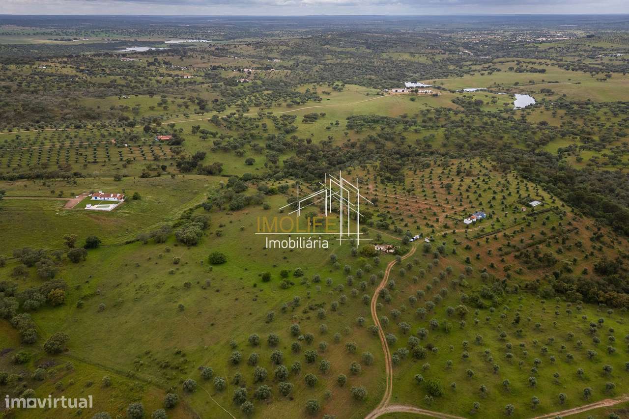 MONTINHO DO CHIADO - MALARRANHA - PAVIA-50