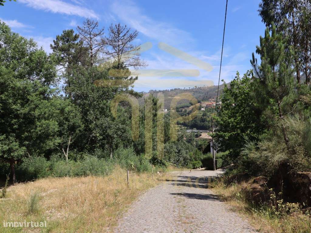 Terreno com 17.800 m², Casa para Reconstruir e mina de Água - Soalh...-28