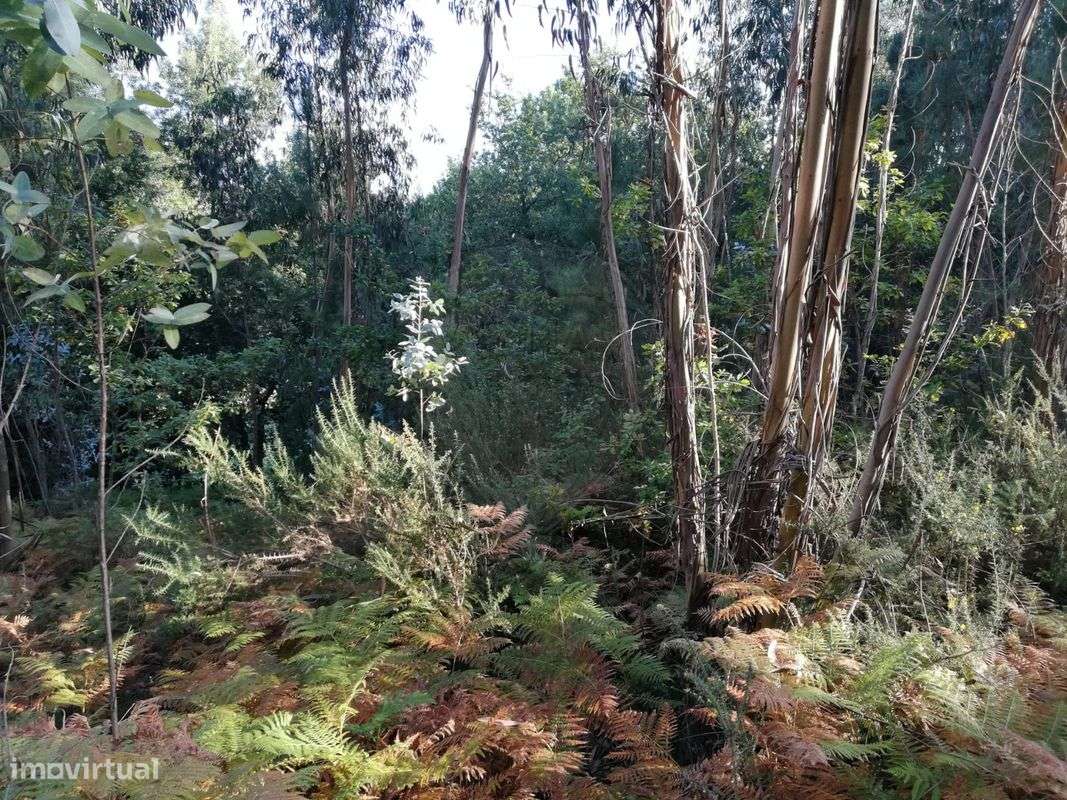 Terreno  para venda - Grande imagem: 5/9