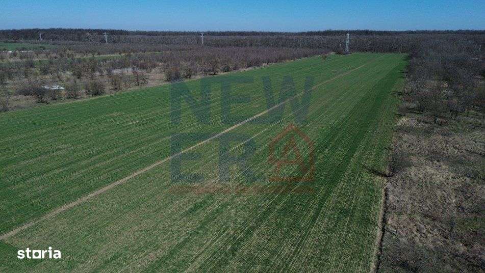 Teren de vanzare, Sabareni - Imagine principală: 1/7