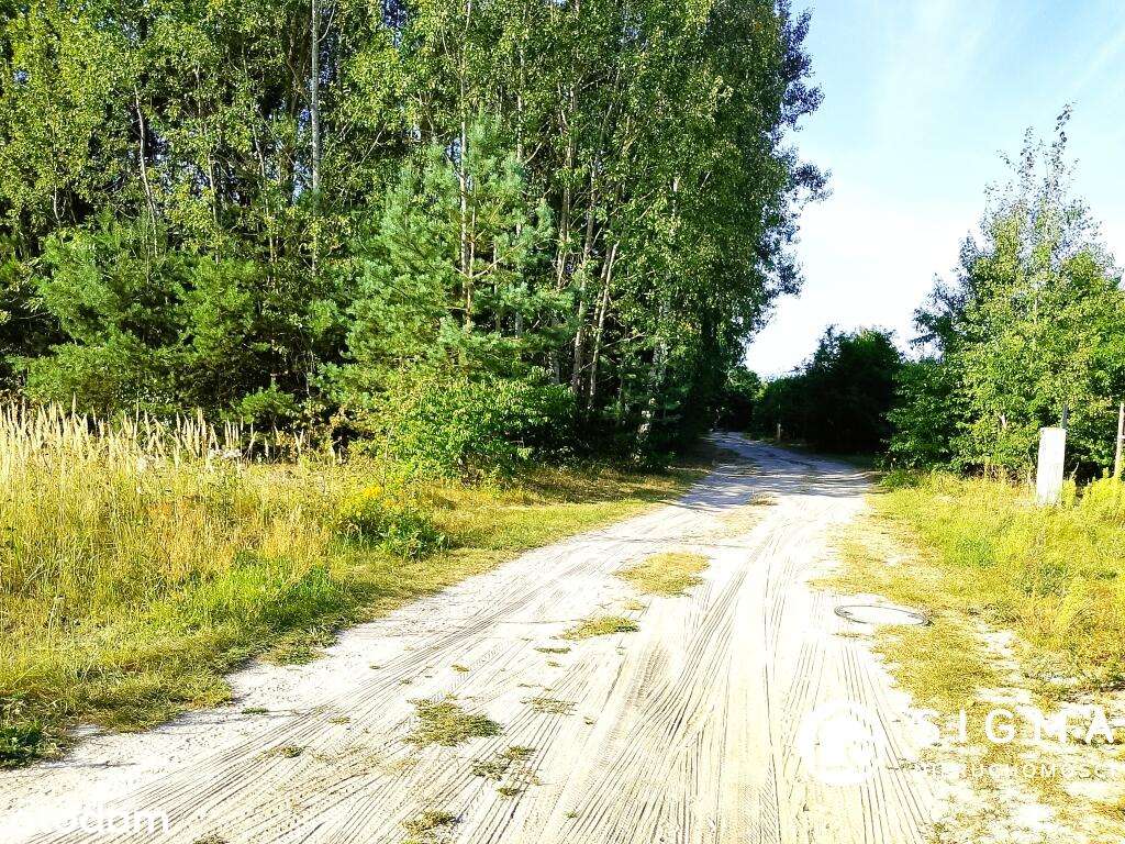 Piękna działka przy lesie I MPZP I media-2