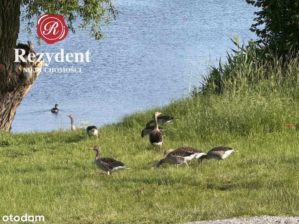 Piękna lokalizacja, Wnecja, Jeziora super Cena - Pełny obrazek: 5/15