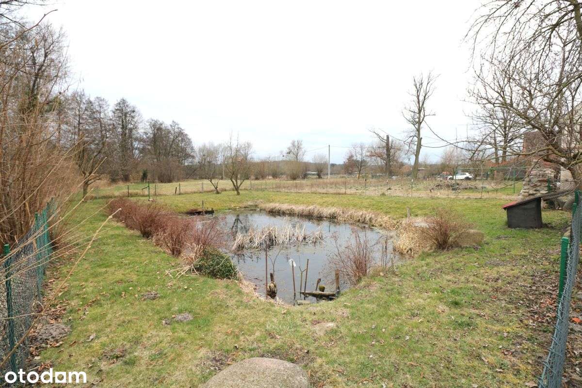 Dom i budynki gosp., działka 25ar -Miłochowice-16