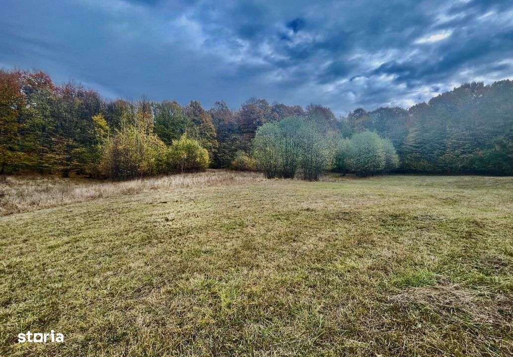 Teren la padure, panoramic dealuri si paduri, curent si asfalt - Imagine principală: 4/13