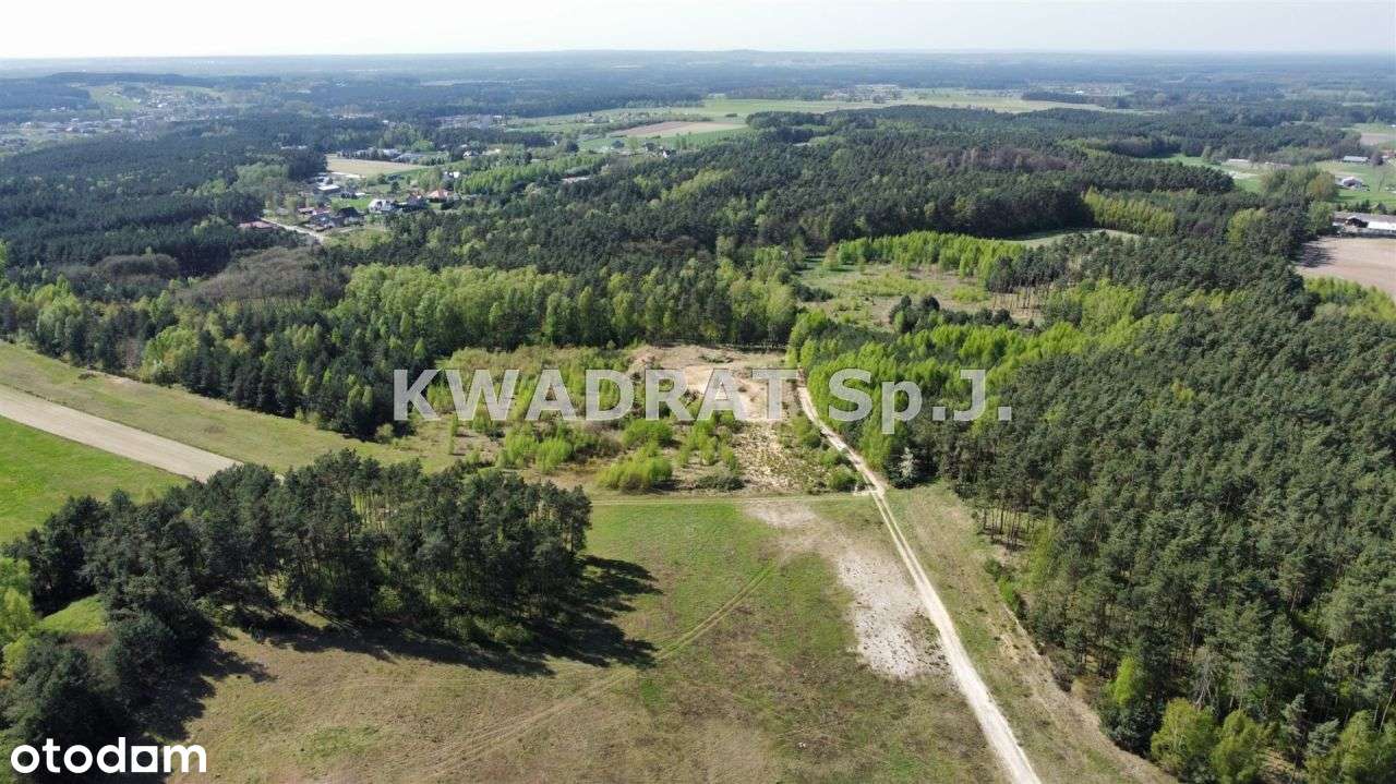 Piękna, duża działka z lasem – Kobyla Góra!!!-11