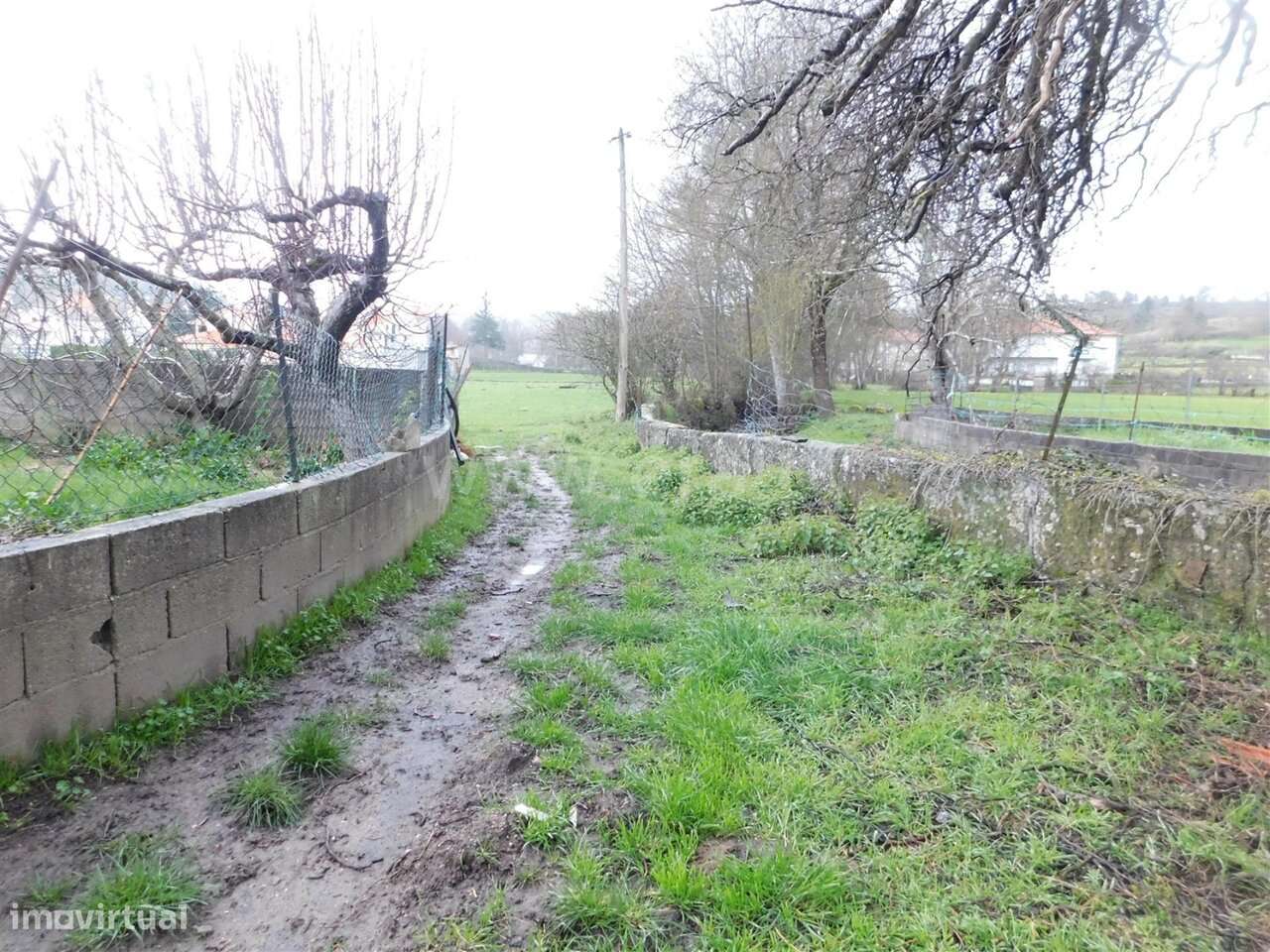 Terreno / Seia, Carragozela e Várzea de Meruge - Grande imagem: 5/8