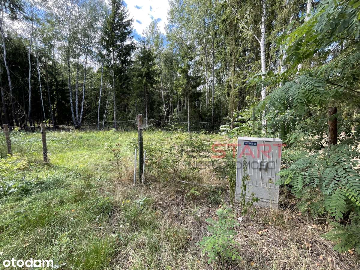 Urokliwa działka na skraju lasu. - Pełny obrazek: 5/16
