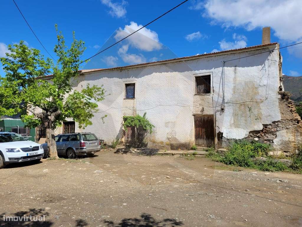 QUINTA COM VINHA - FIGUEIRA DE CASTELO RODRIGO-17