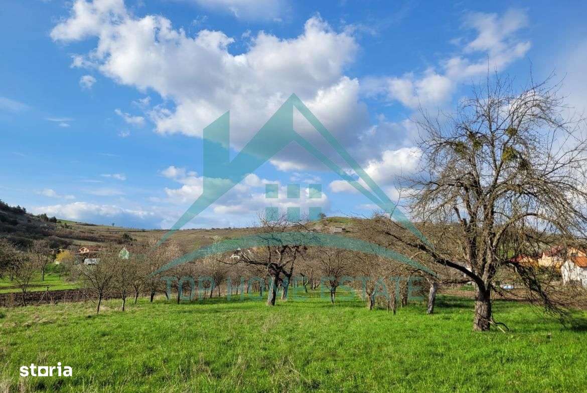 EXCLUSIVITATE! Teren intravilan de vanzare, zona linistita, sat Vlaha! - Imagine principală: 1/12