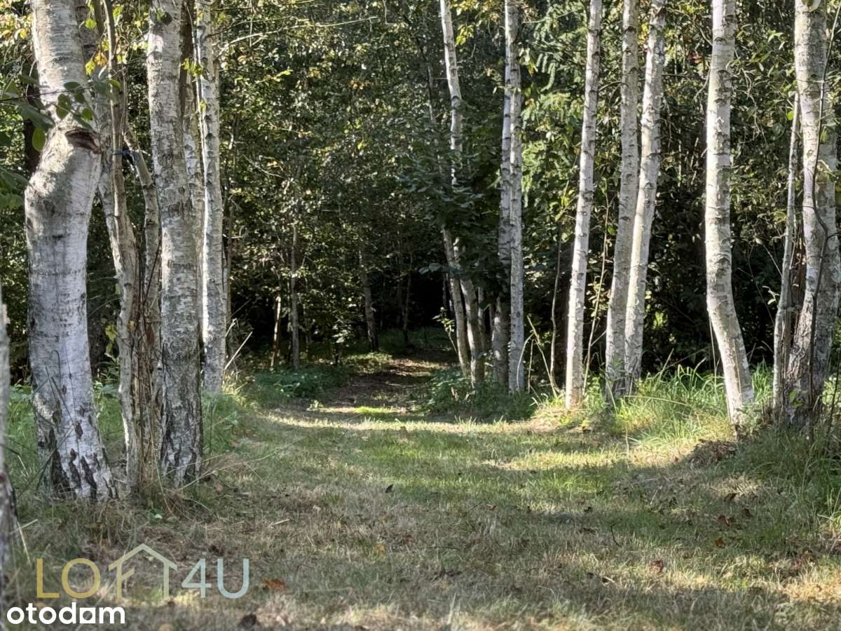 Działka 2 500 m² z domem i lasem – Myszków - Pełny obrazek: 5/5