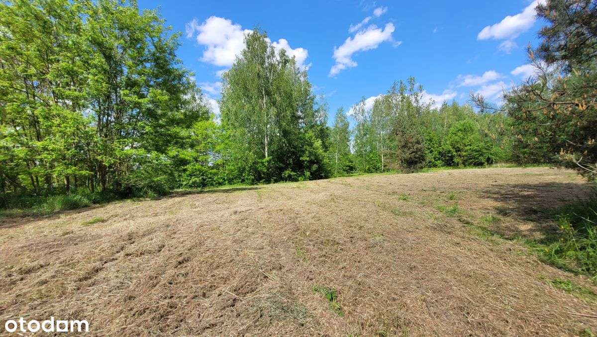 Duża Działka Z Mpzp - Pełny obrazek: 5/9