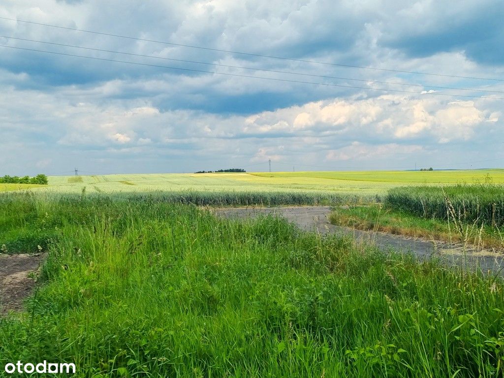 Działka w Kromolinie