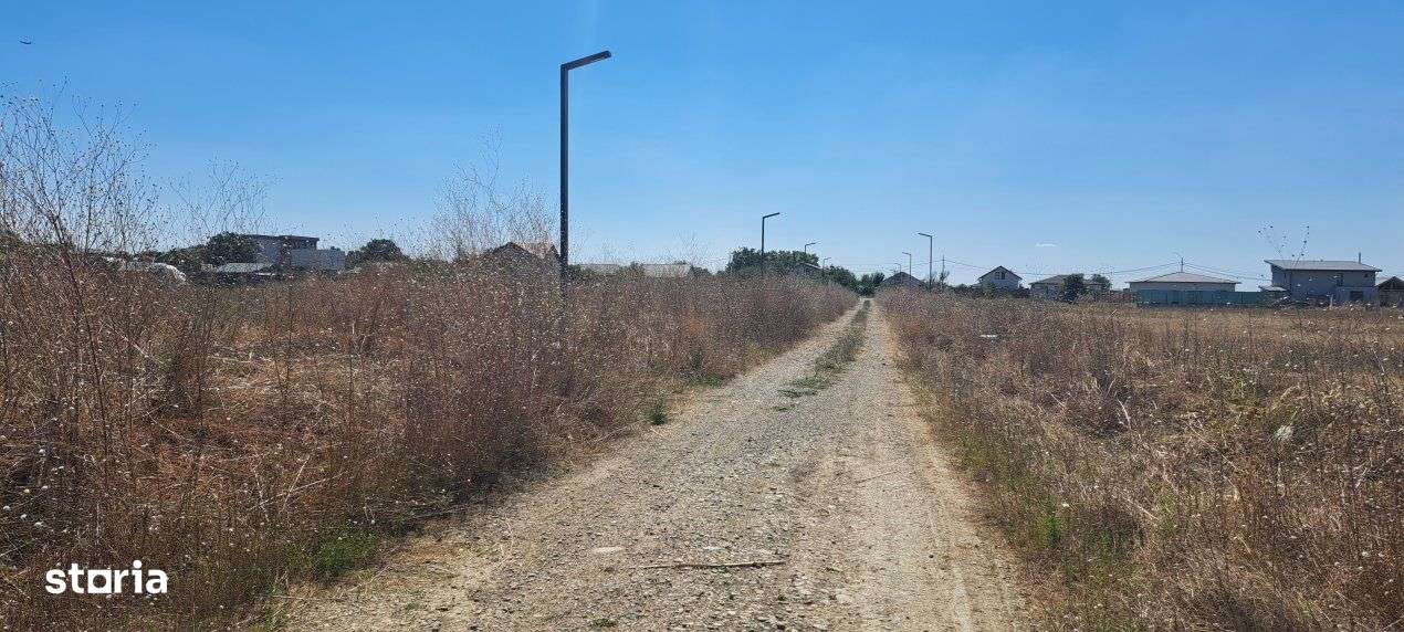 DIMIENI - ILFOV / STR. STRAJA / TEREN 1000 mp / 2000 mp-16