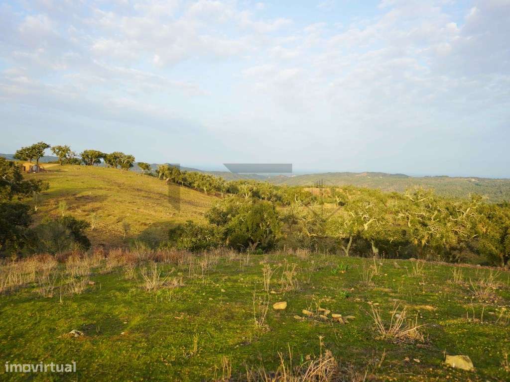 Terreno para Venda com 34 Hectares com Ruina na Serra de Grândola /...-16
