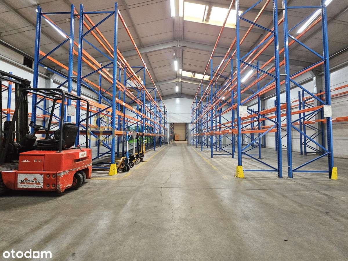 Hala magazynowa z chłodniami - Śrem - Pełny obrazek: 5/15
