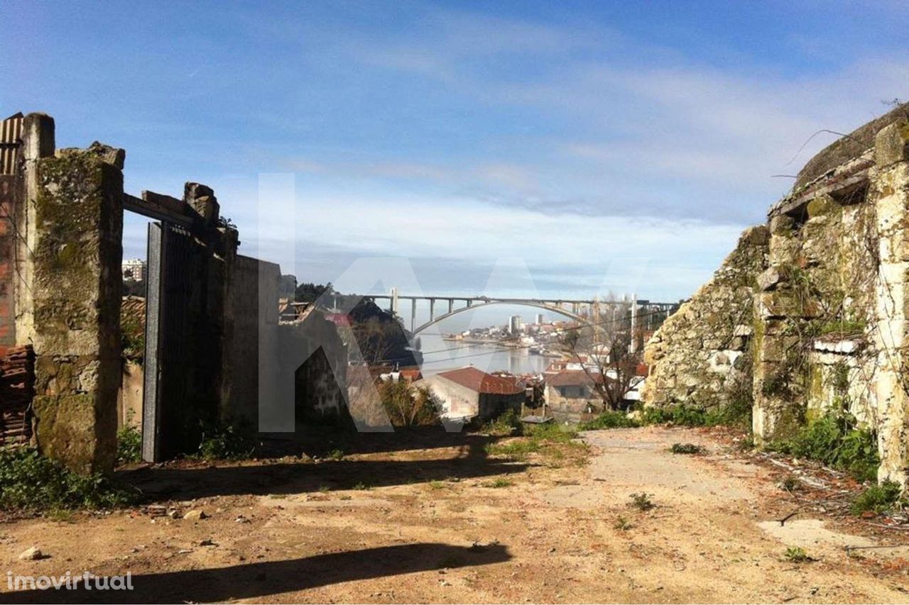 Terreno com vista Rio Douro.