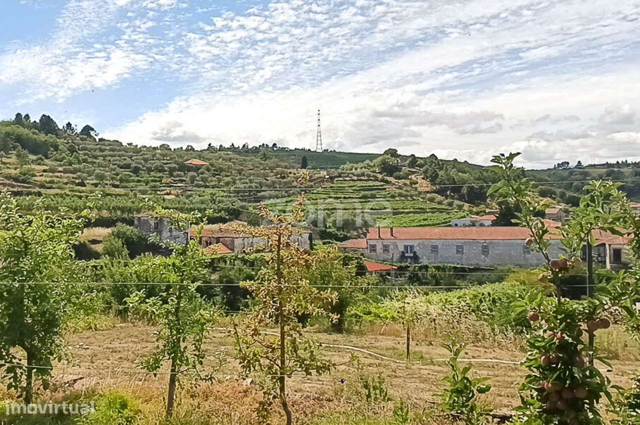 Quinta do Mosteiro de Salzedas com mais 17 ha e património histórico-56