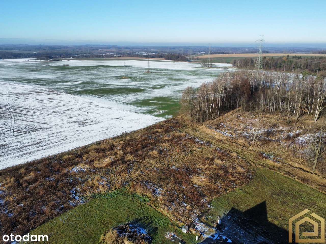 Atrakcyjne działki | MPZP | Pod lasem - Pełny obrazek: 3/11