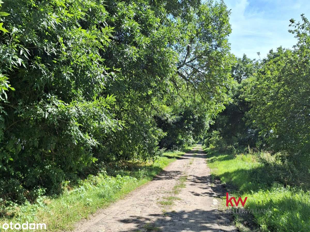 Wyjątkowa Działka Budowlana w Sercu Natury - Pełny obrazek: 5/8