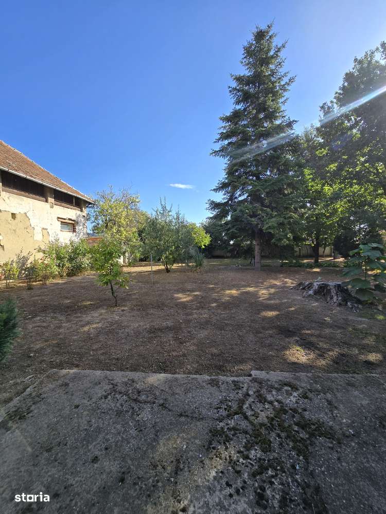 Cenad-Casa individuala -teren 549mp-8