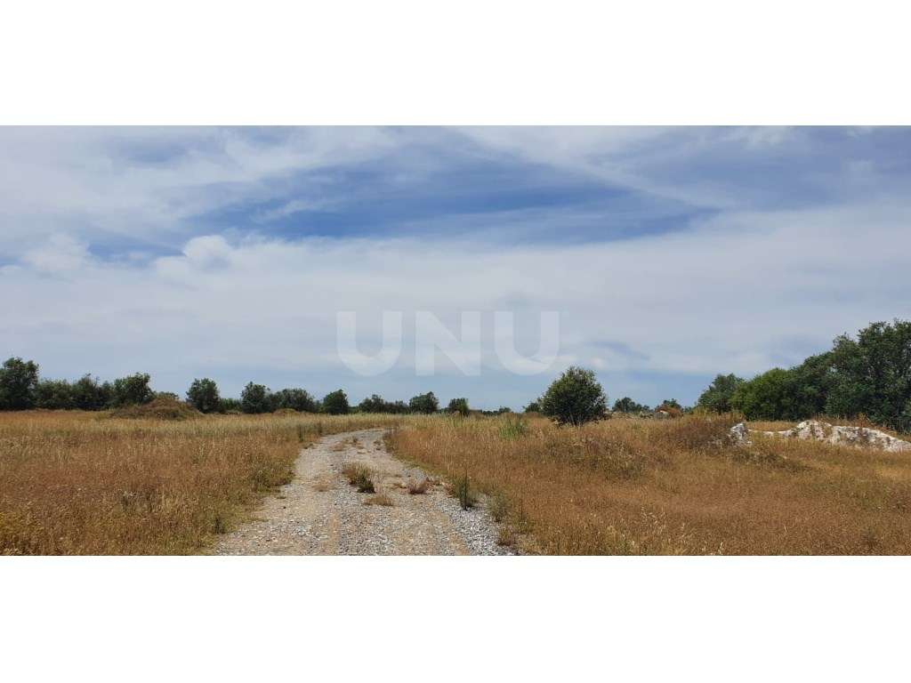 Terreno em Reguengos de Monsaraz-6