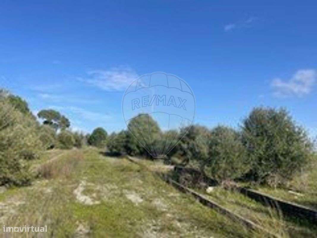 Terreno  para venda - Grande imagem: 5/11