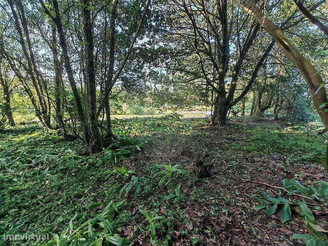 Terreno  para venda - Grande imagem: 3/10