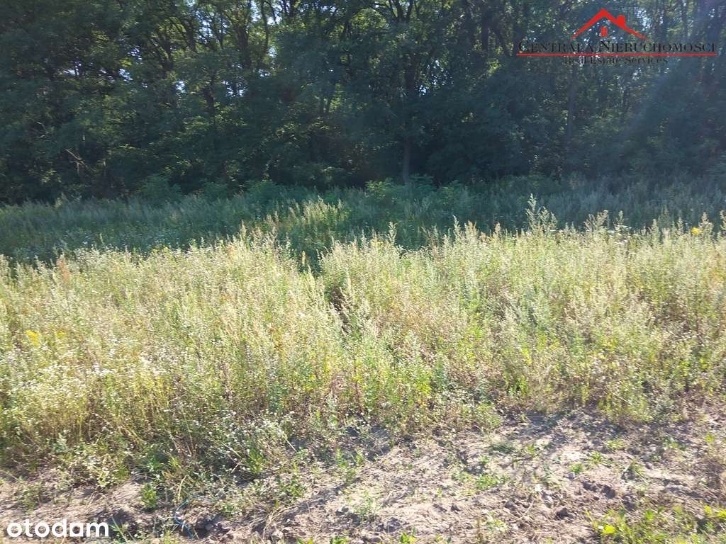 Działka przy ścianie lasu w Łubiance - Pełny obrazek: 4/8