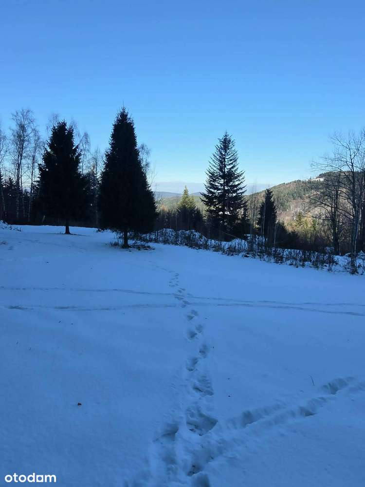 Działka (1,1ha) budowlana  z widokiem na góry z Zawoi,prąd,woda,droga-11