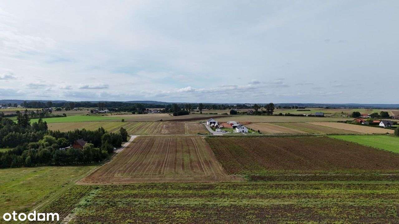 Oferuję działki w Krępie Kaszubskiej 3 000 m2 - Pełny obrazek: 4/4