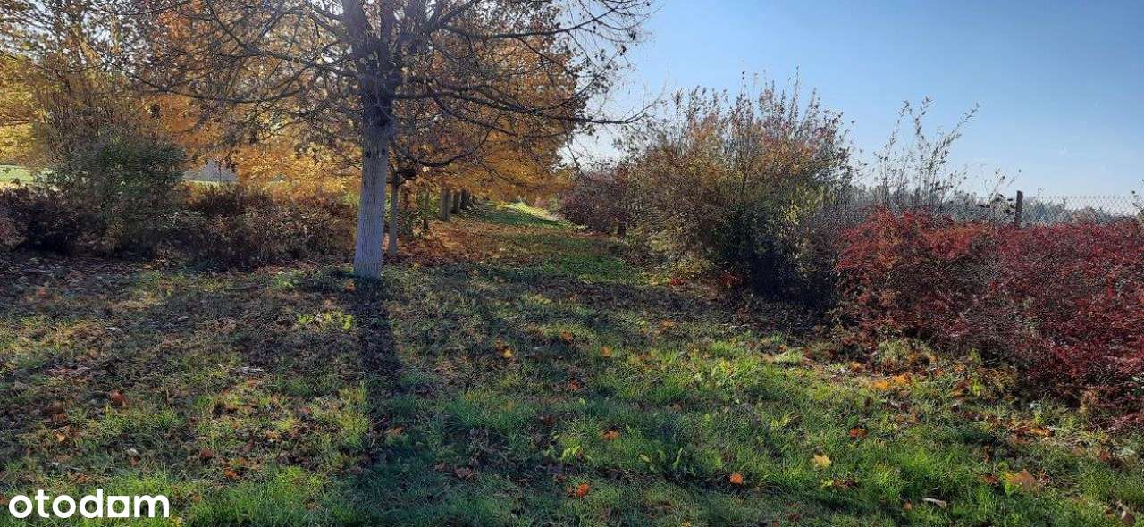 Piękna działka siedliskowa z budynkami.-5