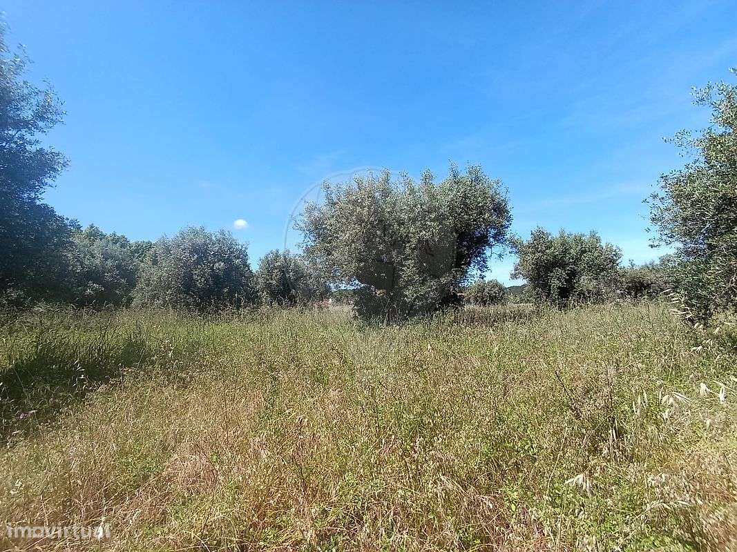 Terreno  para venda - Grande imagem: 4/13