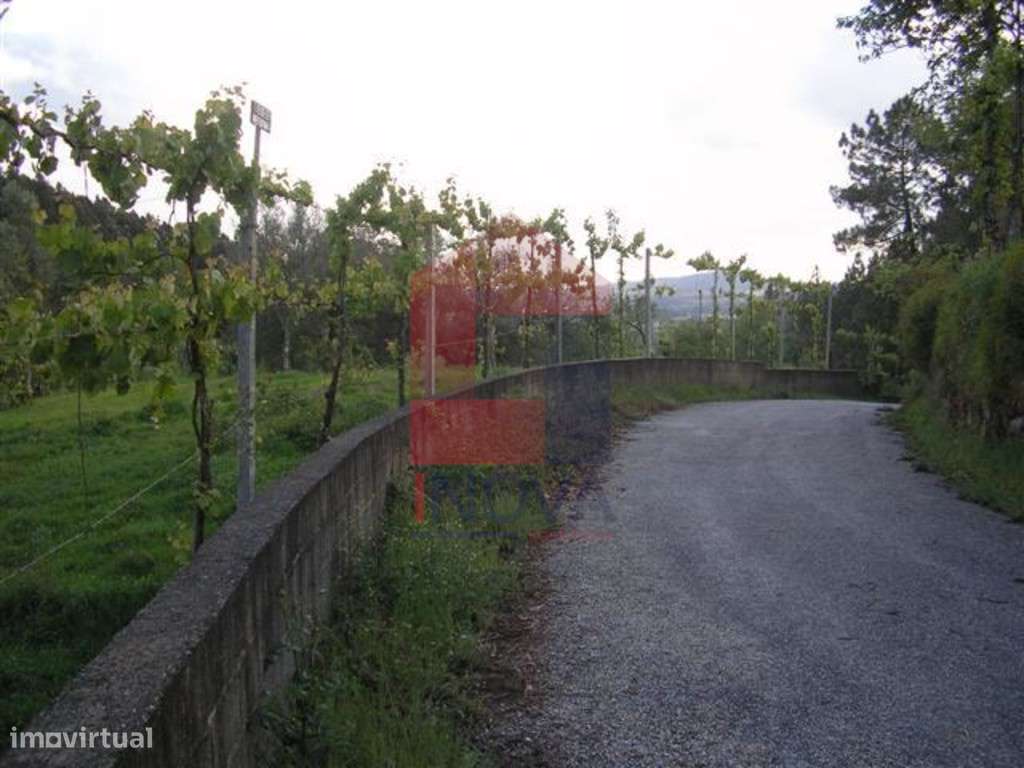 Terreno agrícola, Barros - Grande imagem: 4/8