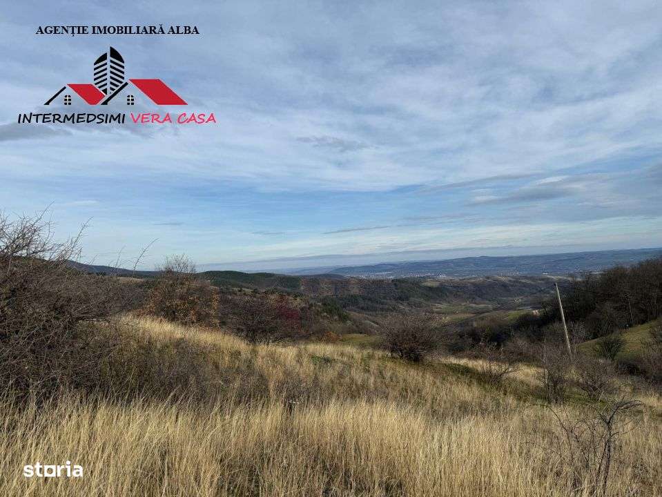 Teren extravilan de vanzare la perfiferia satului Inuri Jud Alba - Imagine principală: 3/16