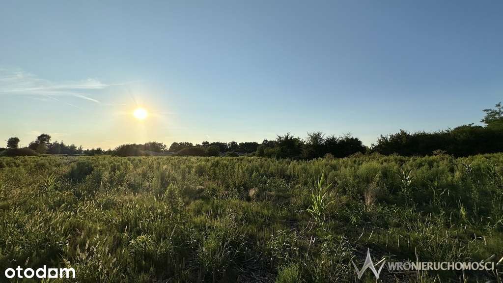 Inwestycja - 1,2 ha pod halę, logistykę, usługi - Pełny obrazek: 5/9