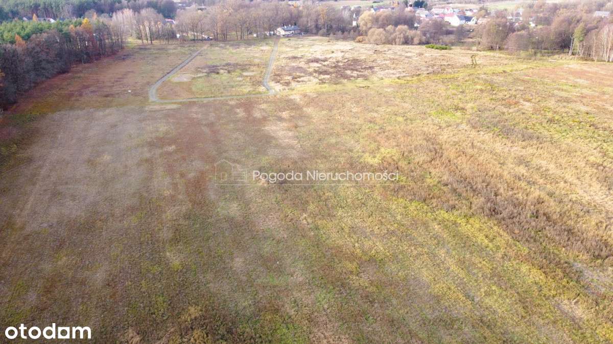 Działki na sprzedaż - Trzebule-14